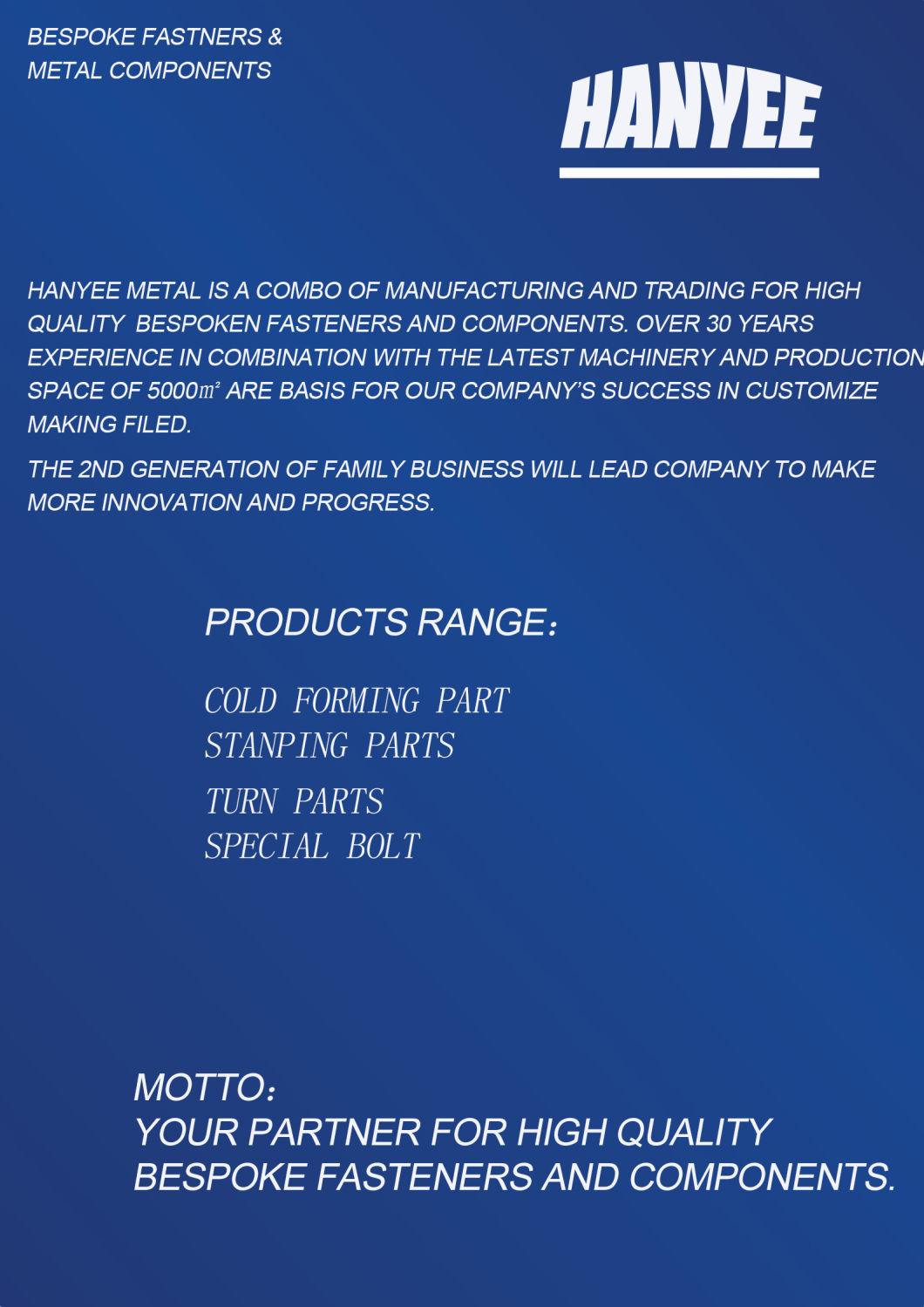 Our Factories 20 Years′ Experience Quality Chinese Products Accept OEM Fastener