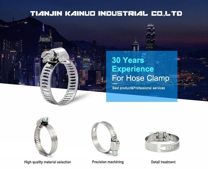 8mm Micro Perforated Adjustable W1 Worm Gear Pipe Clip American Type Gas/Oil/Water Hose Clamp, 6-16mm Bandwidth (0.25"-0.62")