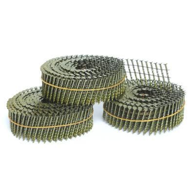 Factory Sell High Quality Coil Nail