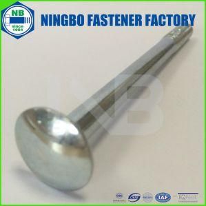 DIN603 Carriage Bolt Grade4.8 M10*130 Cr+3 Blue White Zinc Plated