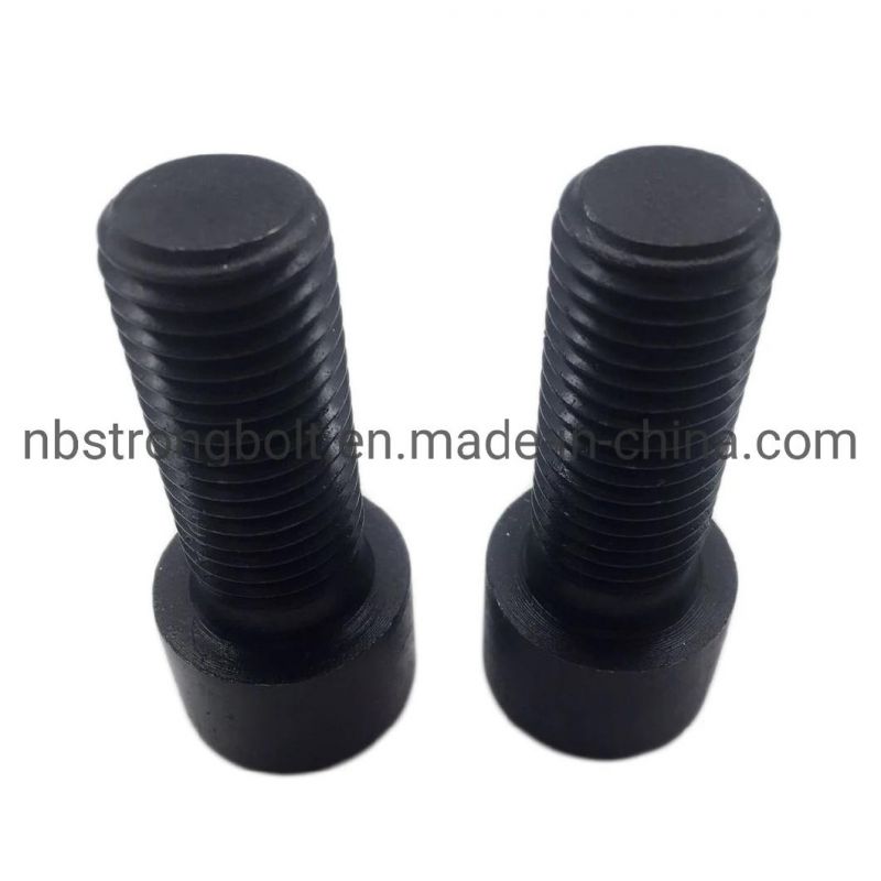 Hexagaon Socket Head Bolt with Black