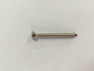 Ss Stainless Steel Pan Head Self Tapping Screw with Square Drive/Oval Head Self Tapping Screw with Philips Drive