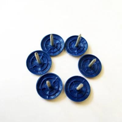 Roofing /Concrete /Clout /Wire Nails for Africa