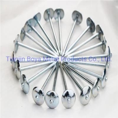 White Zinc Plated Umbrella Head Roofing Nail with Good Quality