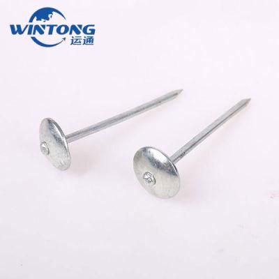 Roofing Nails/Umbrella Head Nails/Smooth or Twist Shank