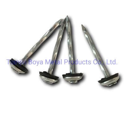 Electro Galvanized Assemble Roofing Nail with Washer