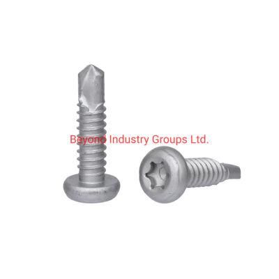 Self Drilling Screw 25 Kesternich Supplier