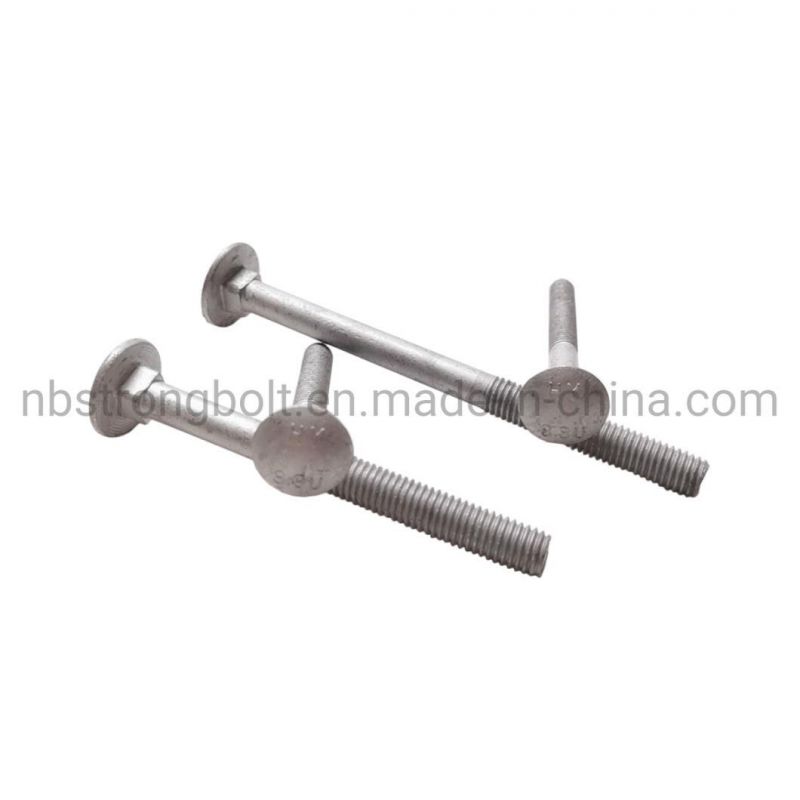 High Tensile Metric Round Head Square Neck Bolt