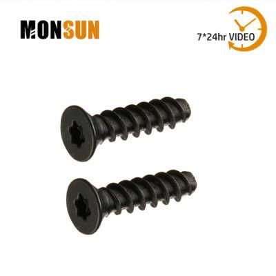 Flat Head Cross Recessed/Torx Drive Tapping Screws for Soft Plastic
