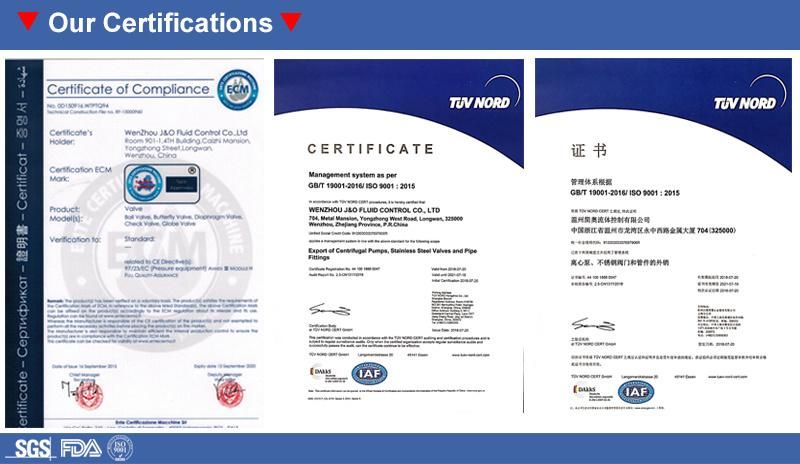 Hardware Sanitary Pipe Fitting Stainless Steel SMS Union