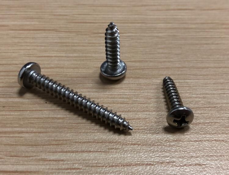 Stainless Steel Phillips Pan Head Self Tapping Screws