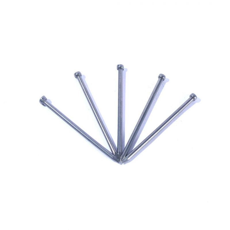High Quality Finishing Iron Wire Nail Common Wire Nails