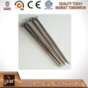 Common Round Iron Nail