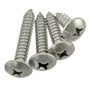 Truss Head Phillips Recess Self Tapping Screws Phosphated Headless Screw