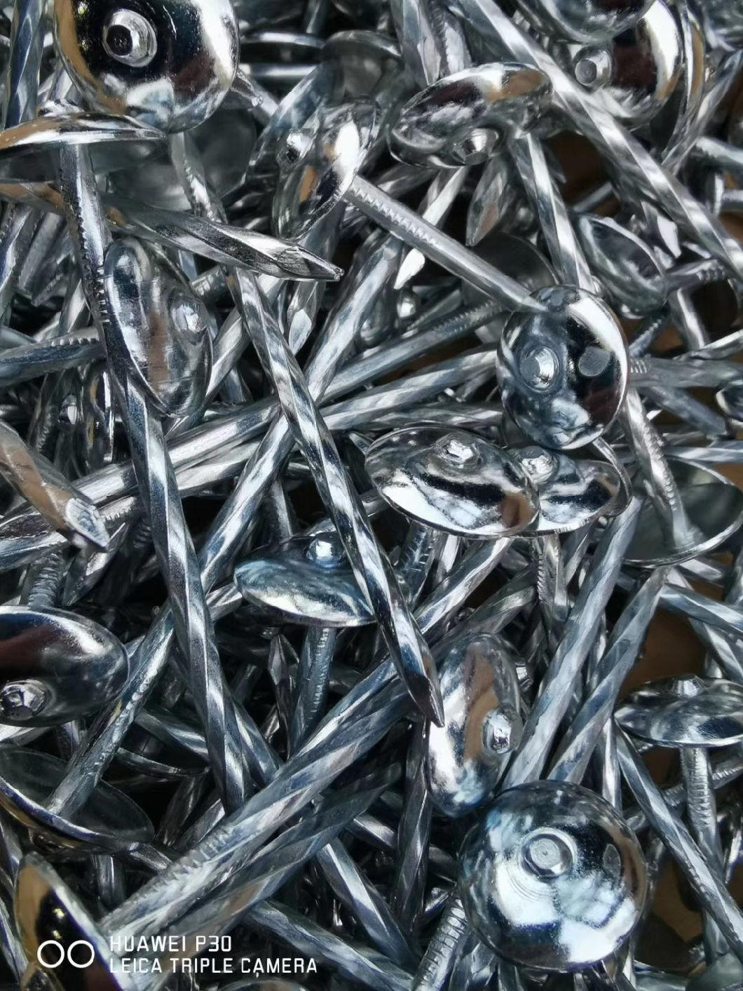 Smooth Shank 9bwg X 2.5inch Roofing Nails/Umbrella Head Nails Selling to All The World