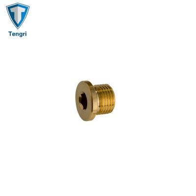 M10-M64 Internal Drive Screw Plugs Screw Hex Screw DIN908
