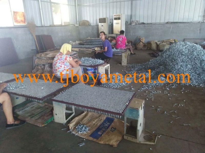 Construction Material Galvanized Shining Umbrella Head Color Roofing Nail
