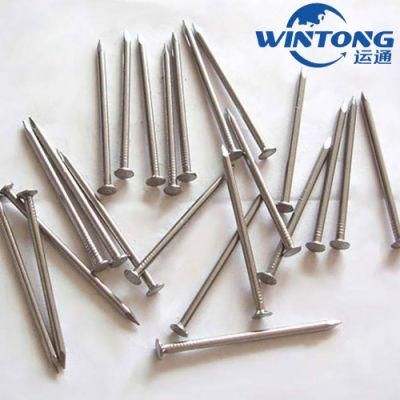 Steel Concrete Nail Concrete Nails/Hard Concrete Nail