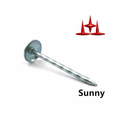 2022 China Professional Factory Roofing Nail with Umbrella Head