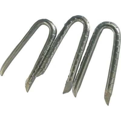 Factory U Shape Iron Wire Nail Common U Type Nail Fence Staples Barbed Shank U Nail