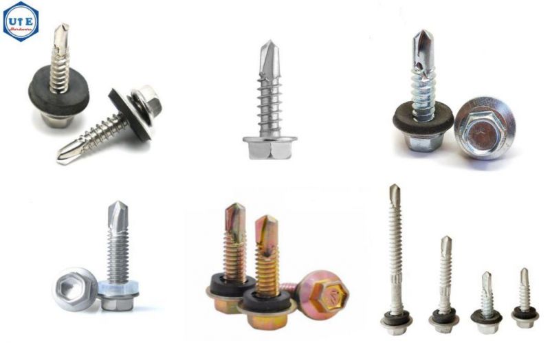 Stainless Steel Screws/Self Drilling Screw/Self Tapping Screw/Roofing Screw/Machine Screw/Wood Screw/Chipboard Screw/Deck Screw/Drywall Screw /Gurb Screws