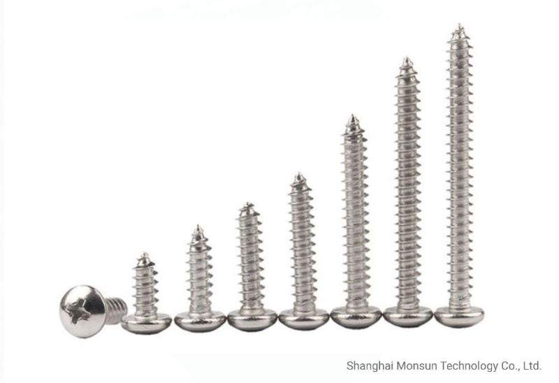 Stainless Steel Self Tapping Wood Screws Made in China