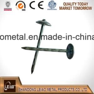 Galvanized Roofing Nails 8boxes/Carton for South America