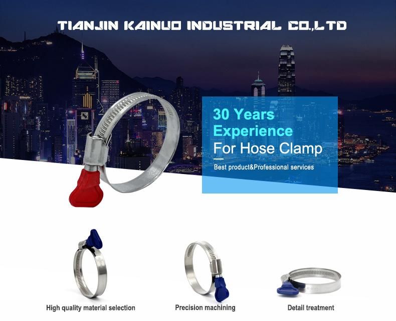 Non-Perforated Stainless Steel Germany Type Worm Drive Hose Clamp with Handle, 35-50mm