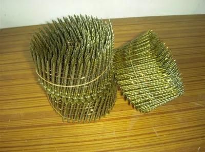 Paint Screw Coil Nails/Screw Nail/Pallet Nail Factroy Directly Sale