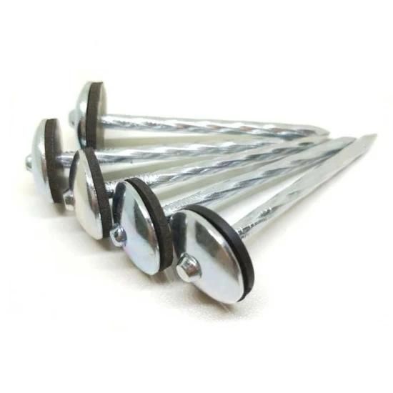 Umbrella Head Roofing Nail/Galvanized Roofing Nails with Washer