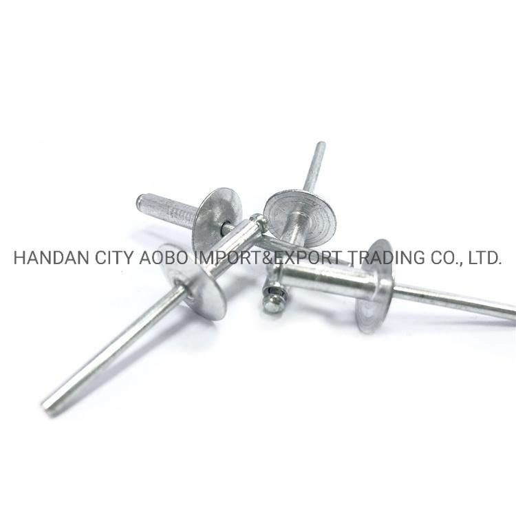 Aluminium Blind Rivet Manufacturer Color Paint Plain Open End Type