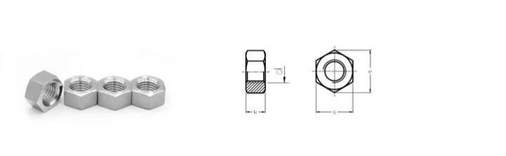 GB 6170 M20 Hexagon Nut in Stainless Steel and Titanium Ta10
