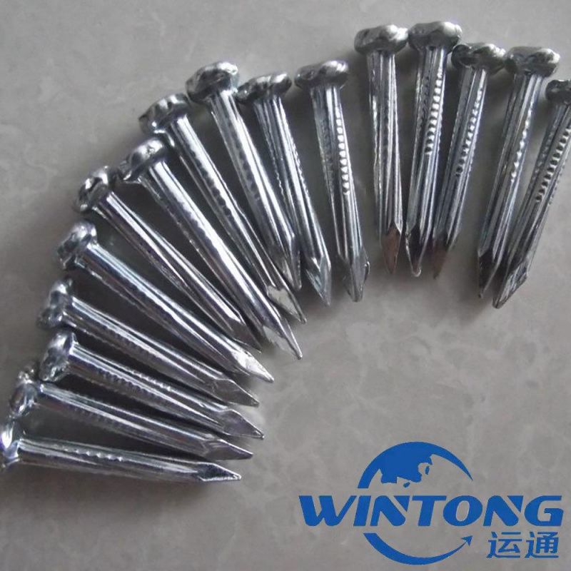 Direct Factory Best Quality Black Concrete Nails Galvanized Concrete Nails