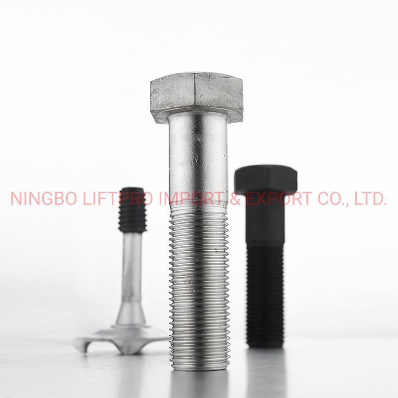 China Factory OEM ODM Special Fastener Bolt Stainless Steel Brass Aluminium