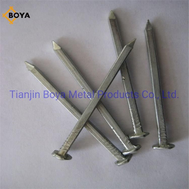 Electro Galvanized Square Boat Nails for Boat Building