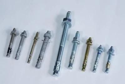 Stainless Steel Carbon Steel Drop in Expansion Bolt with Nut Wedge Anchor Stud Head Screw Throught Anchor