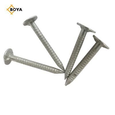 Ring Shank Clout 1/2&quot;-4&quot; Big Head Nail
