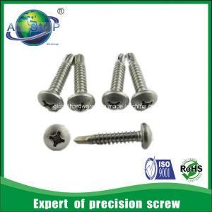 Stainless Steel Philips Pan Head Tek 5 Screws