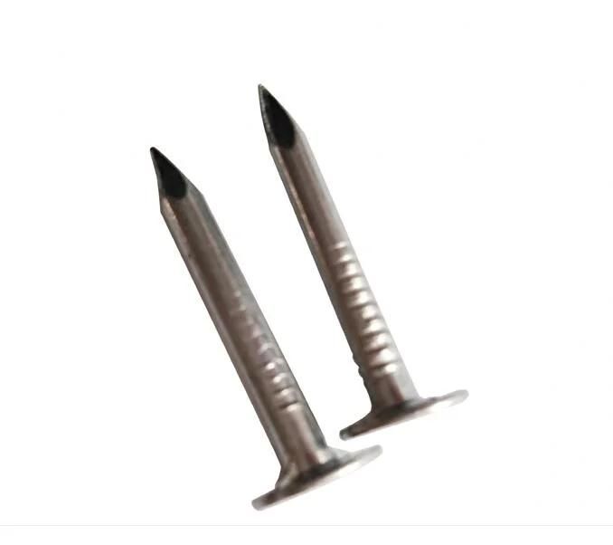 Clavos, Roofing Nail, Roofing Nails China Factory