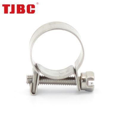 9mm Bandwidth Blue-White Zinc Plated Galvanized Iron Mini Hose Clamp, 15-17mm