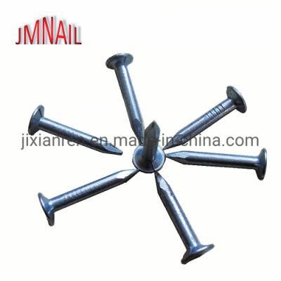 4&quot; Smooth Shank Electric Galvanized Concrete Nails