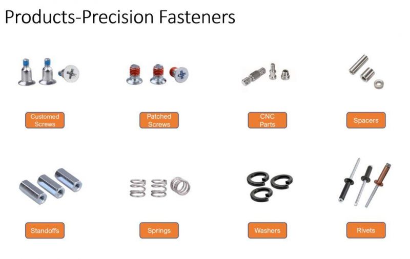 High Quality Custom Hardware Fasteners Thread Forming Screws with a High Thread Profile and Recessed Thread Root