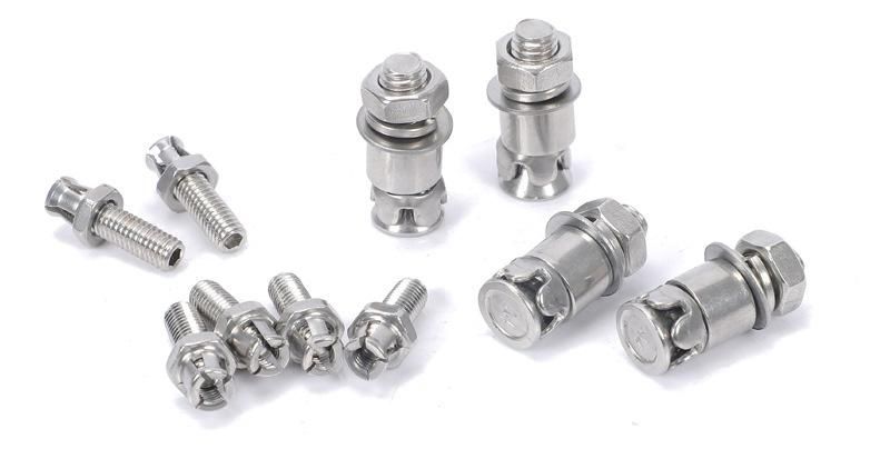 Wholesale Stainless Steel Fastener Undercut Anchor Bolt Back Bolt for Stone Material