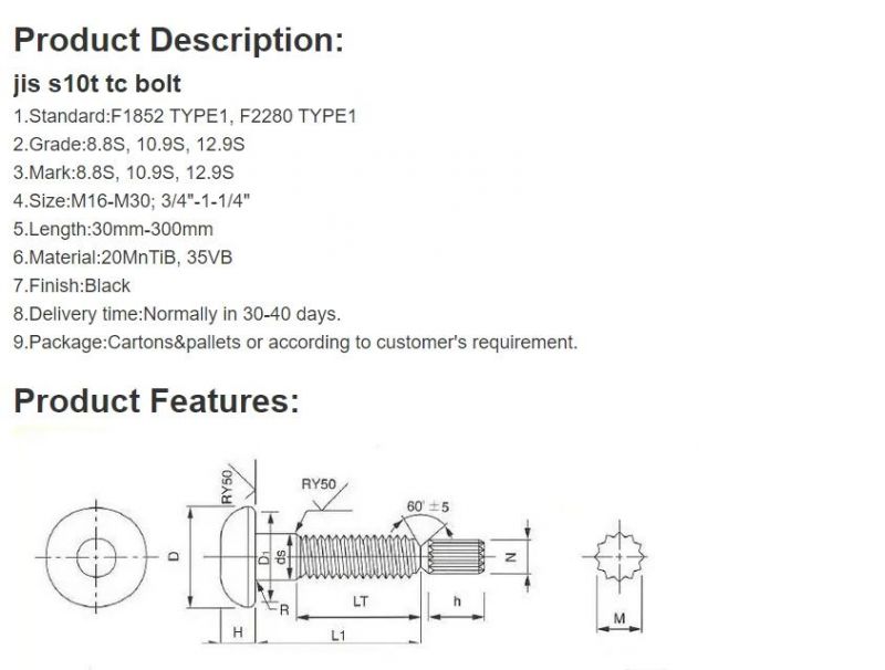 ASTM A325tc A490tc Tension Control Bolt