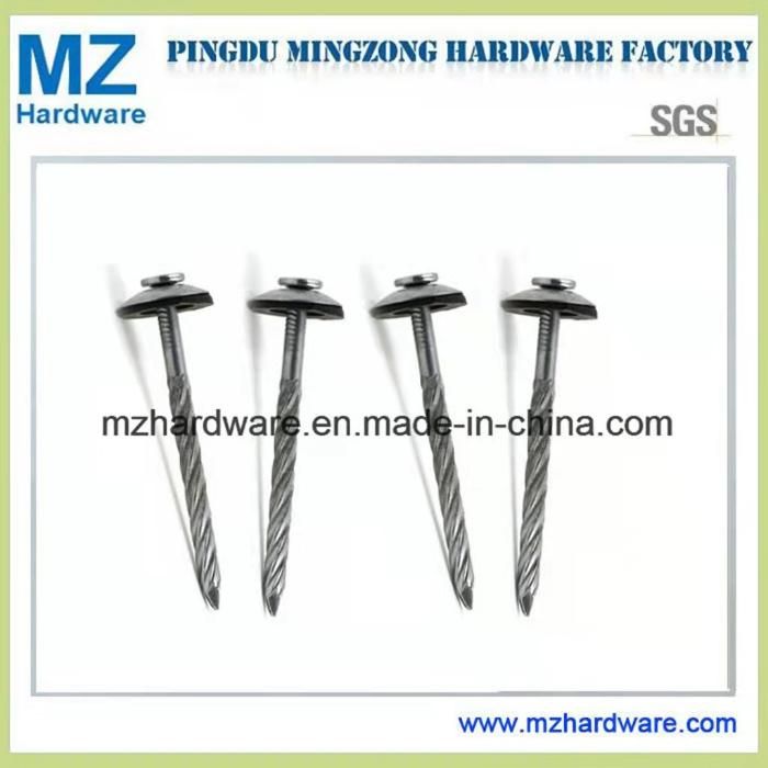 Eletro-Galvanized Nail Screw Shank Nail Roofing Nail with Factory Price