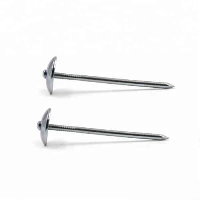 White Galvanized Plain Shank Umbrella Roofing Nails 50lb/CTN