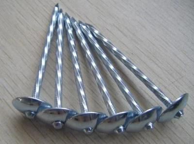 Galvanized Roofing Nail with Washer Made in China