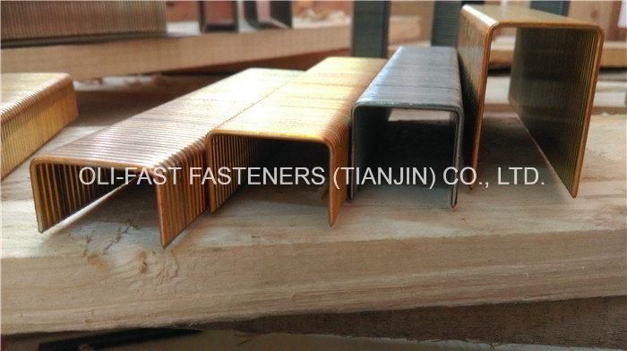 Senco P Staples 1" Crown