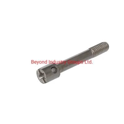 Sealing Screw for Meters