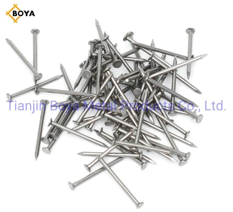Factory Price Common Nail/ Iron Nail/Wood Nail/Building Nail/Concrete Nail/Roofing Nail